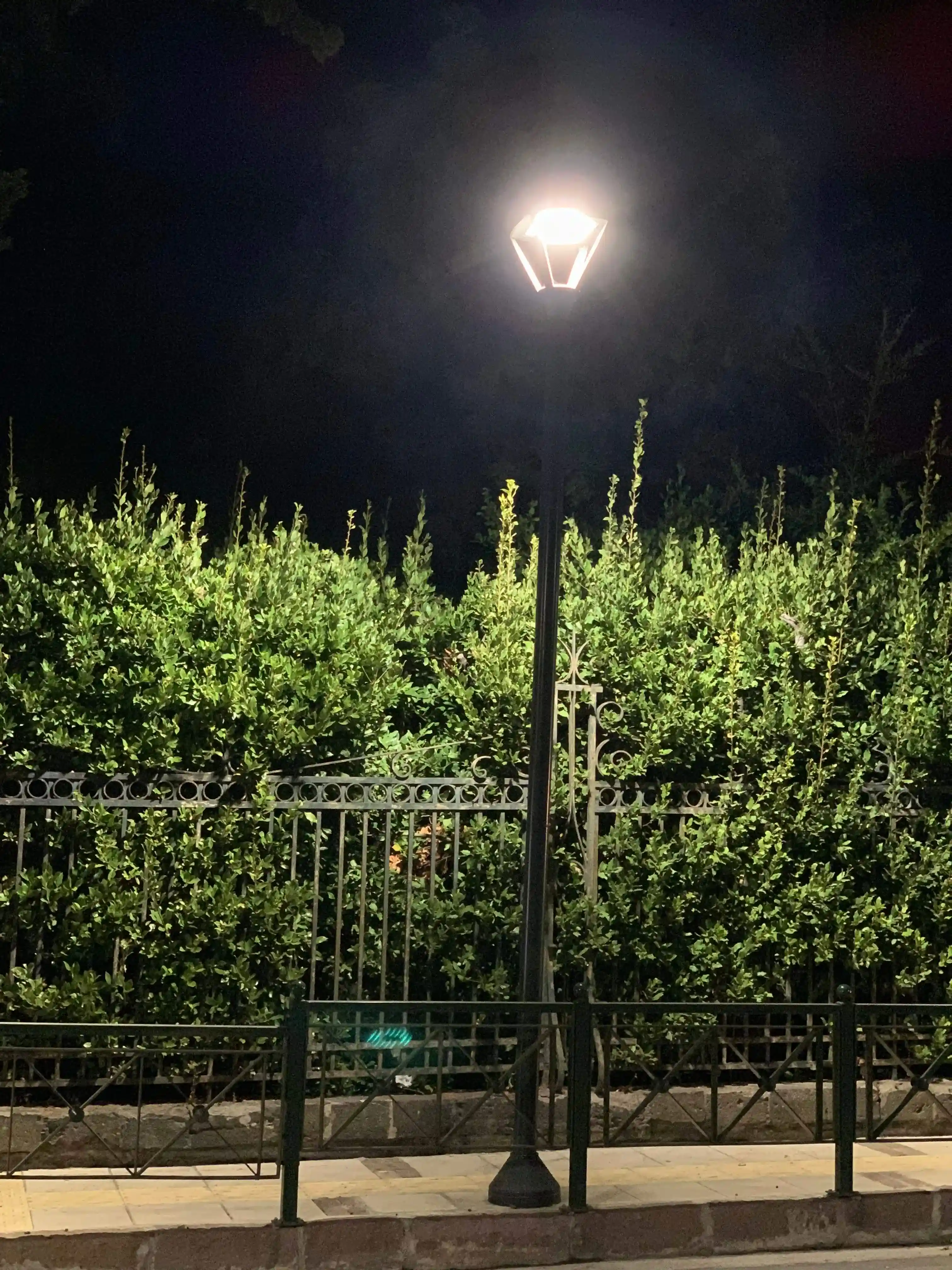 Ζουμαρισμένη εικόνα ένός ιστού στον δρόμο της Σουράδας.